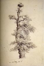 风景画大师 Caspar David Friedrich 1806_009